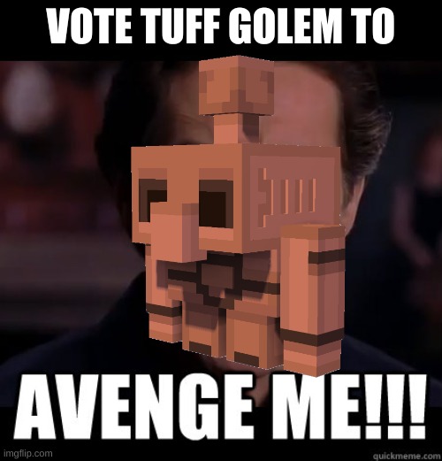 tuff golem | VOTE TUFF GOLEM TO | image tagged in minecraft memes | made w/ Imgflip meme maker