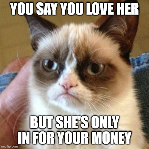 When they're only inf or your money. | YOU SAY YOU LOVE HER; BUT SHE'S ONLY IN FOR YOUR MONEY | image tagged in money,women,love,cheaters | made w/ Imgflip meme maker