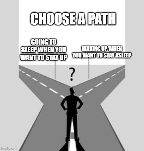 CHOOSE A PATH | CHOOSE A PATH; WAKING UP WHEN YOU WANT TO STAY ASLEEP; GOING TO SLEEP WHEN YOU WANT TO STAY UP | image tagged in sleep,choices,funny,lol | made w/ Imgflip meme maker