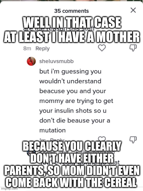Well at least I have a mother | WELL IN THAT CASE AT LEAST I HAVE A MOTHER; BECAUSE YOU CLEARLY DON'T HAVE EITHER PARENTS, SO MOM DIDN'T EVEN COME BACK WITH THE CEREAL | image tagged in the worst child in the world | made w/ Imgflip meme maker