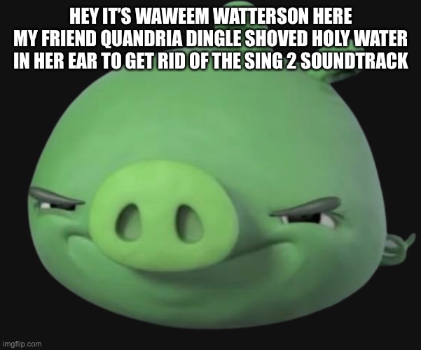 HEY IT’S WAWEEM WATTERSON HERE
MY FRIEND QUANDRIA DINGLE SHOVED HOLY WATER IN HER EAR TO GET RID OF THE SING 2 SOUNDTRACK | made w/ Imgflip meme maker