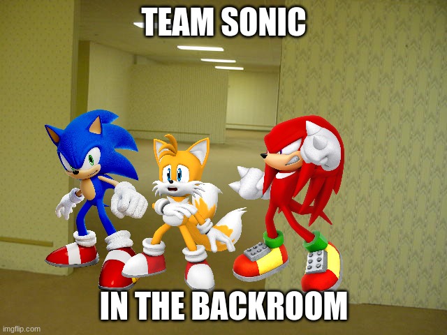 Team sonic are stuck in the backroom |  TEAM SONIC; IN THE BACKROOM | image tagged in the backrooms,team sonic,sonic the hedgehog,knuckles,tails the fox,memes | made w/ Imgflip meme maker