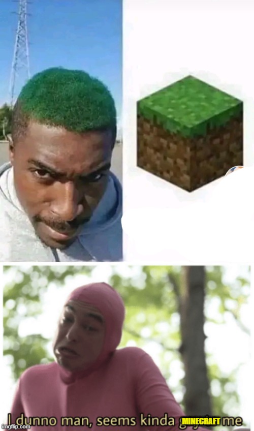 MINECRAFT | image tagged in idk man seems kinda gay | made w/ Imgflip meme maker