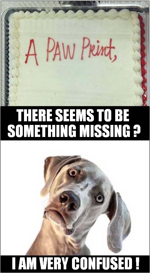 Cake Needs Stomping On ! | THERE SEEMS TO BE 
SOMETHING MISSING ? I AM VERY CONFUSED ! | image tagged in dogs,cake,decorating,confusion | made w/ Imgflip meme maker