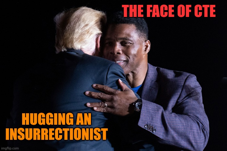 Their brand of democracy is for idiots | THE FACE OF CTE; HUGGING AN INSURRECTIONIST | image tagged in herschel walker donald trump | made w/ Imgflip meme maker