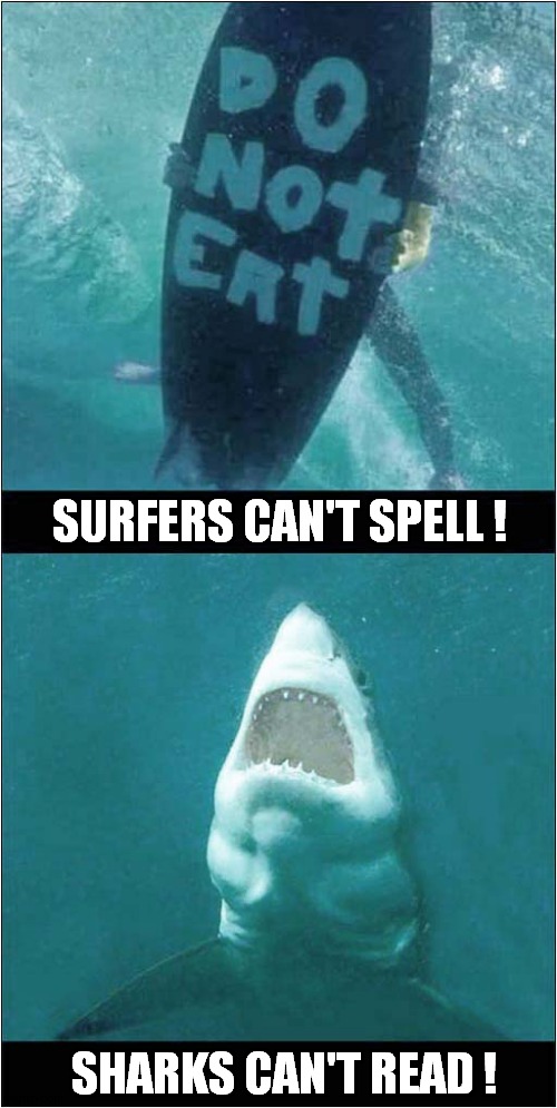 ' Do Not Ert '  ? | SURFERS CAN'T SPELL ! SHARKS CAN'T READ ! | image tagged in surfing,sharks,spelling,dark humour | made w/ Imgflip meme maker