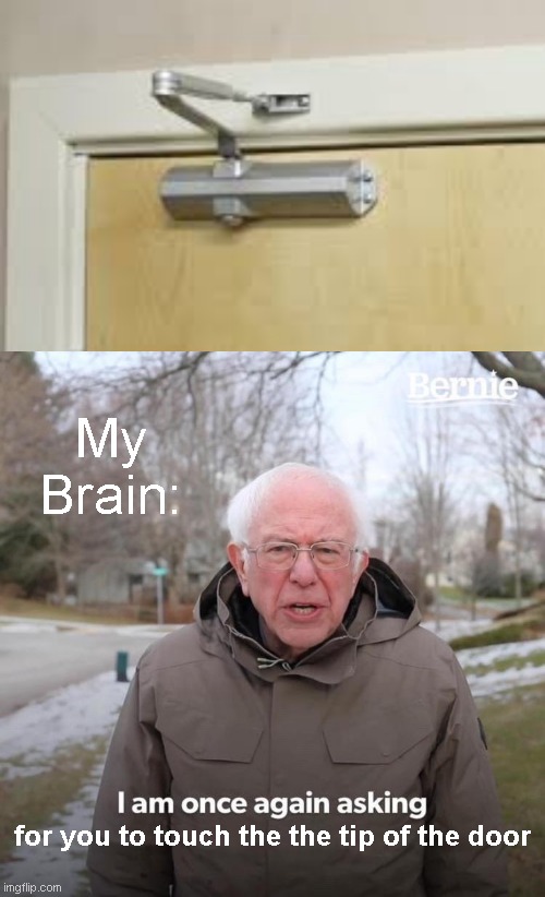 lol | My Brain:; for you to touch the the tip of the door | image tagged in memes,bernie i am once again asking for your support,door | made w/ Imgflip meme maker