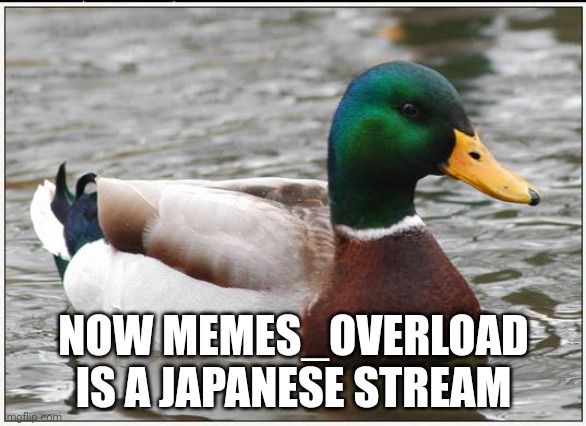 Actual Advice Mallard | NOW MEMES_OVERLOAD IS A JAPANESE STREAM | image tagged in memes,actual advice mallard | made w/ Imgflip meme maker