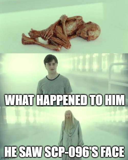 don't look at him | WHAT HAPPENED TO HIM; HE SAW SCP-096'S FACE | image tagged in dead baby voldemort / what happened to him,memes,scp,death,scp 096 | made w/ Imgflip meme maker