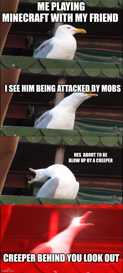 Inhaling Seagull | ME PLAYING MINECRAFT WITH MY FRIEND; I SEE HIM BEING ATTACKED BY MOBS; HES  ABOUT TO BE BLOW UP BY A CREEPER; CREEPER BEHIND YOU LOOK OUT | image tagged in memes,inhaling seagull | made w/ Imgflip meme maker