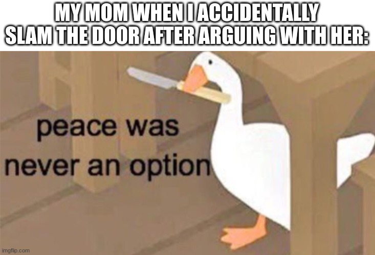 Untitled Goose Peace Was Never an Option |  MY MOM WHEN I ACCIDENTALLY SLAM THE DOOR AFTER ARGUING WITH HER: | image tagged in untitled goose peace was never an option,oh no,uh oh,mom,angery | made w/ Imgflip meme maker