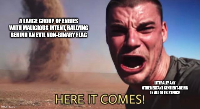 HERE IT COMES! | A LARGE GROUP OF ENBIES WITH MALICIOUS INTENT, RALLYING BEHIND AN EVIL NON-BINARY FLAG LITERALLY ANY OTHER EXTANT SENTIENT-BEING IN ALL OF E | image tagged in here it comes | made w/ Imgflip meme maker