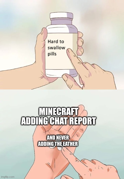 Hard To Swallow Pills | MINECRAFT ADDING CHAT REPORT; AND NEVER ADDING THE EATHER | image tagged in memes,hard to swallow pills | made w/ Imgflip meme maker
