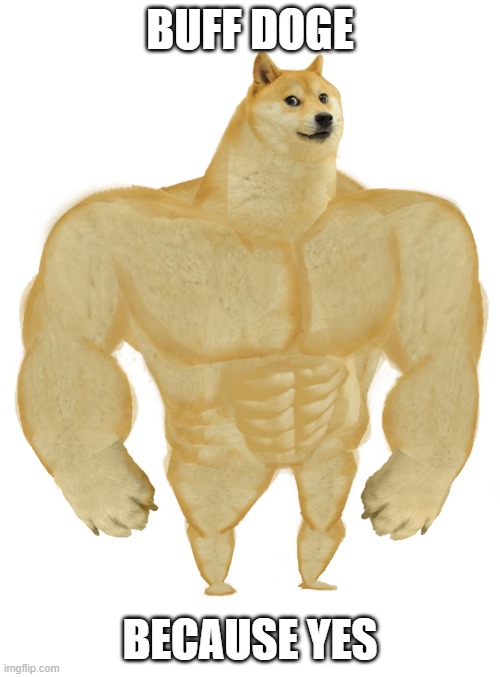 Swole | BUFF DOGE; BECAUSE YES | image tagged in swole doge,swole | made w/ Imgflip meme maker