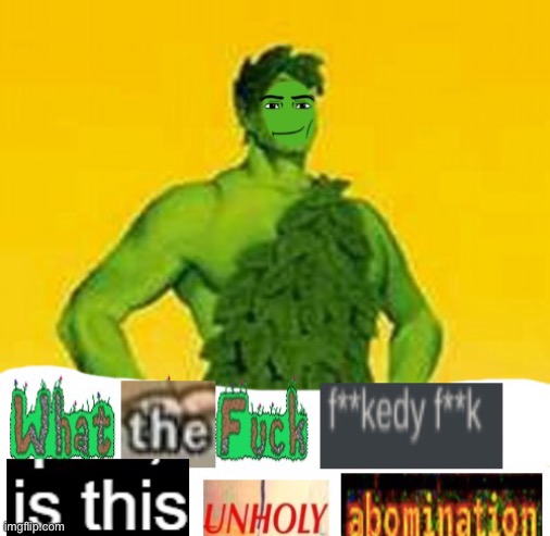 New template | image tagged in what the fuck fuckedy fuck is this unholy abomination | made w/ Imgflip meme maker