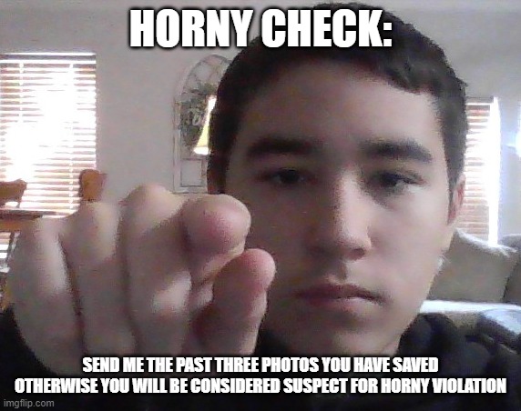 HORNY CHECK:; SEND ME THE PAST THREE PHOTOS YOU HAVE SAVED OTHERWISE YOU WILL BE CONSIDERED SUSPECT FOR HORNY VIOLATION | made w/ Imgflip meme maker