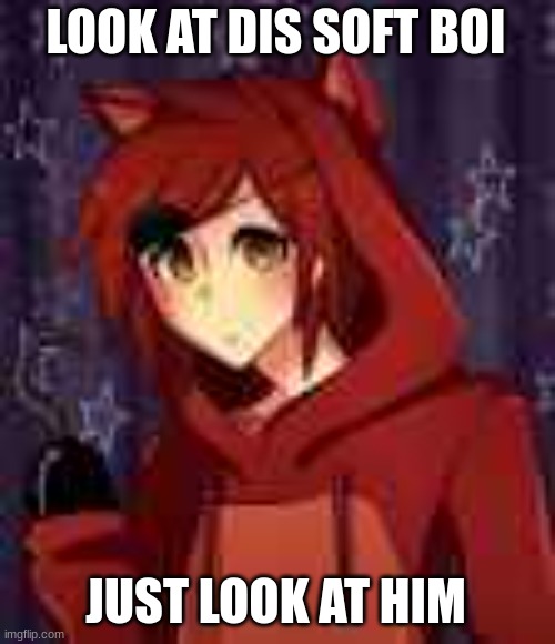 human foxy | LOOK AT DIS SOFT BOI JUST LOOK AT HIM | image tagged in human foxy | made w/ Imgflip meme maker