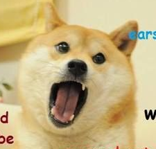 High Quality Doge Angry Blank Meme Template