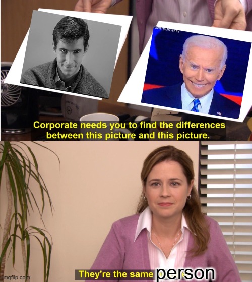 Norman and Joey | person | image tagged in memes,they're the same picture | made w/ Imgflip meme maker