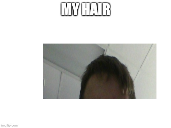 my hair | MY HAIR | image tagged in blank white template | made w/ Imgflip meme maker