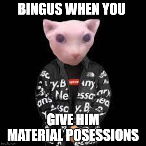 bingus drip | BINGUS WHEN YOU; GIVE HIM MATERIAL POSESSIONS | image tagged in bingus drip | made w/ Imgflip meme maker