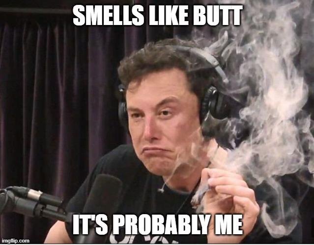 Elon Musk smoking a joint | SMELLS LIKE BUTT; IT'S PROBABLY ME | image tagged in elon musk smoking a joint | made w/ Imgflip meme maker