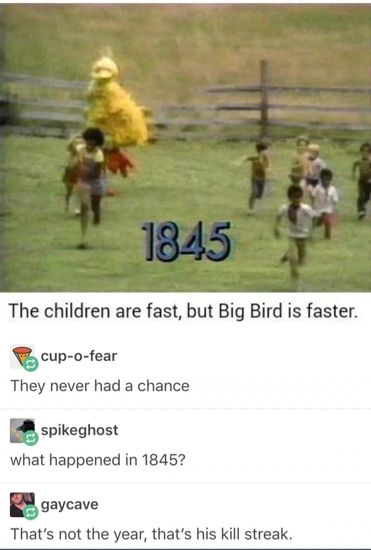 big bird massacre Blank Meme Template