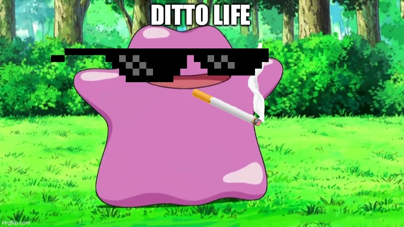 ditto | DITTO LIFE | image tagged in ditto,pokemon | made w/ Imgflip meme maker