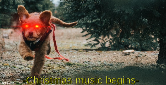 Christmas music begins | image tagged in christmas music begins | made w/ Imgflip meme maker