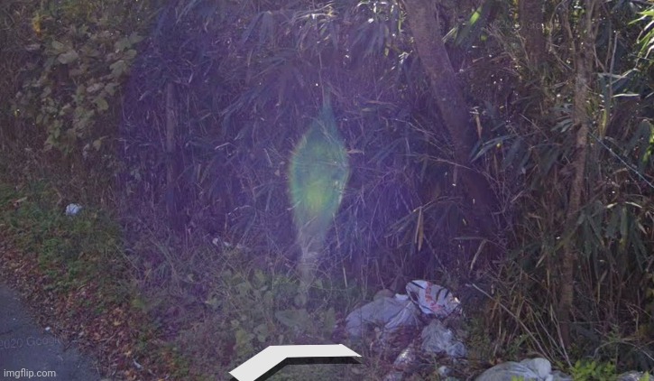 I saw this on street view near coordinates 34°42'03.5"N 135°49'16.6"E | made w/ Imgflip meme maker