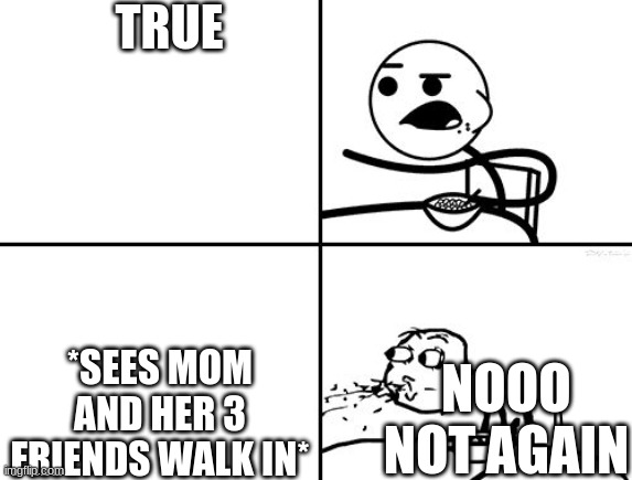 He will never be | TRUE *SEES MOM AND HER 3 FRIENDS WALK IN* NOOO NOT AGAIN | image tagged in he will never be | made w/ Imgflip meme maker