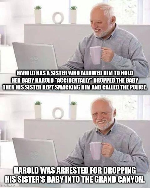 Hide the Pain Harold | HAROLD HAS A SISTER WHO ALLOWED HIM TO HOLD HER BABY HAROLD "ACCIDENTALLY" DROPPED THE BABY THEN HIS SISTER KEPT SMACKING HIM AND CALLED THE POLICE. HAROLD WAS ARRESTED FOR DROPPING HIS SISTER'S BABY INTO THE GRAND CANYON. | image tagged in memes,hide the pain harold | made w/ Imgflip meme maker