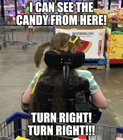 I CAN SEE THE CANDY FROM HERE! TURN RIGHT! TURN RIGHT!!! | made w/ Imgflip meme maker