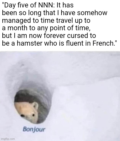 time travel | "Day five of NNN: It has been so long that I have somehow managed to time travel up to a month to any point of time, but I am now forever cursed to be a hamster who is fluent in French." | image tagged in bonjour | made w/ Imgflip meme maker