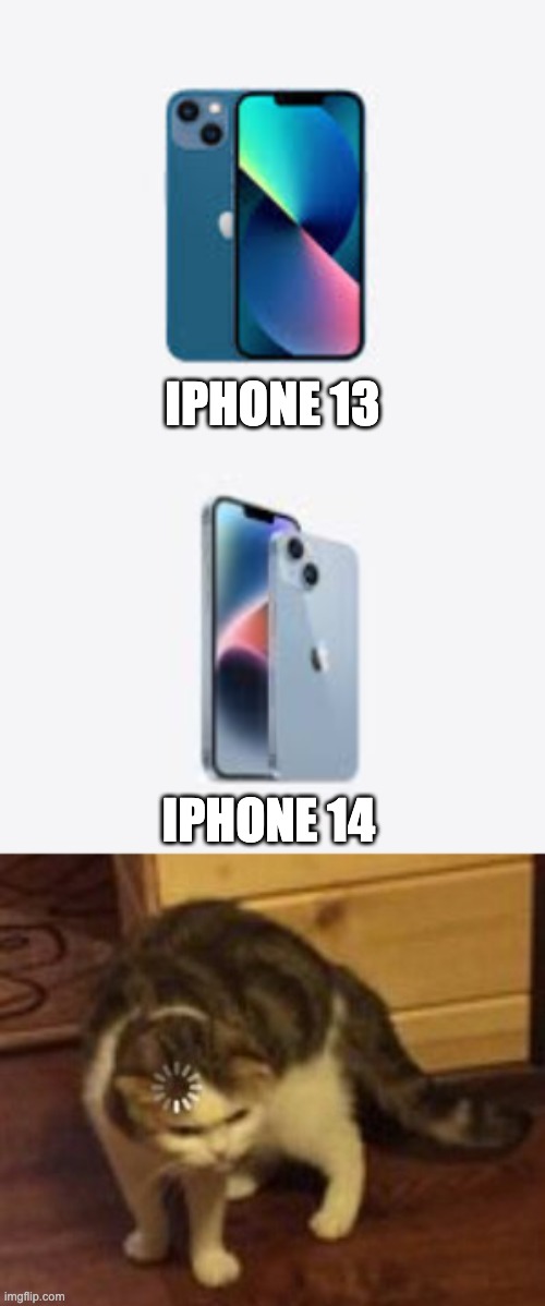 Literally no difference | IPHONE 13; IPHONE 14 | image tagged in loading cat,iphone,funny | made w/ Imgflip meme maker