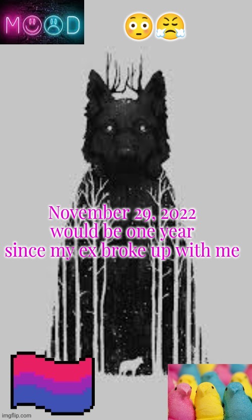 😳😤; November 29, 2022 would be one year since my ex broke up with me | image tagged in puppymavrelgirlwolf announcement template | made w/ Imgflip meme maker