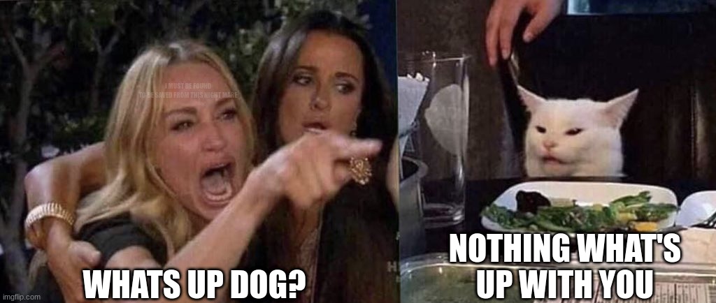 Whats up | I MUST BE FOUND
TO BE SAVED FROM THIS NIGHT MARE; WHATS UP DOG? NOTHING WHAT'S UP WITH YOU | image tagged in woman yelling at cat,dog | made w/ Imgflip meme maker