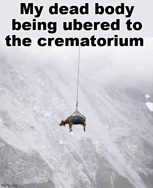 My dead body being ubered to the crematorium | image tagged in dark humor | made w/ Imgflip meme maker