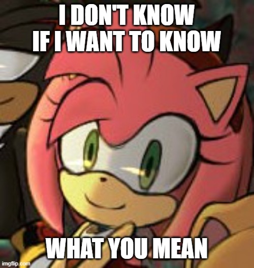 I DON'T KNOW IF I WANT TO KNOW WHAT YOU MEAN | made w/ Imgflip meme maker