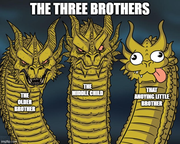 Three-headed Dragon | THE THREE BROTHERS; THE MIDDLE CHILD; THAT ANOYING LITTLE BROTHER; THE OLDER BROTHER | image tagged in three-headed dragon | made w/ Imgflip meme maker