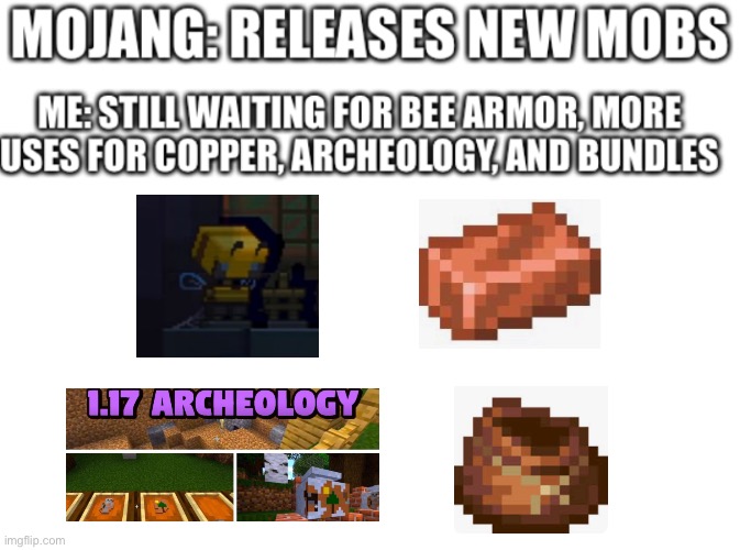 Cmon Mojang! | image tagged in minecraft,blank white template | made w/ Imgflip meme maker