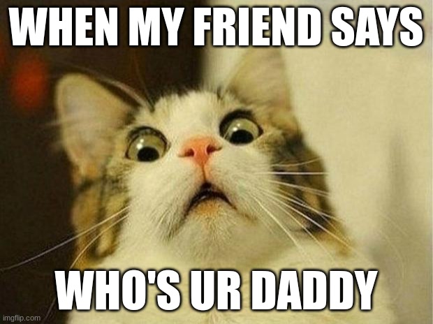 Scared Cat |  WHEN MY FRIEND SAYS; WHO'S UR DADDY | image tagged in memes,scared cat | made w/ Imgflip meme maker