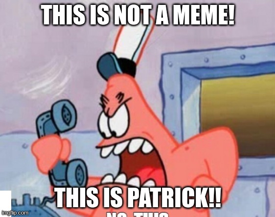 THIS IS PATRICK! | THIS IS NOT A MEME! THIS IS PATRICK!! | image tagged in funny memes,no patrick | made w/ Imgflip meme maker