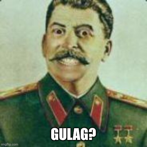 GULAG??????? | GULAG? | image tagged in stalin,gulag,fascism | made w/ Imgflip meme maker