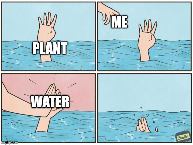 I'm not too good with plants. | ME; PLANT; WATER | image tagged in high five drown | made w/ Imgflip meme maker