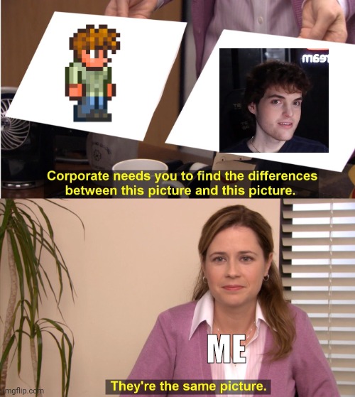 They're The Same Picture | ME | image tagged in terraria | made w/ Imgflip meme maker