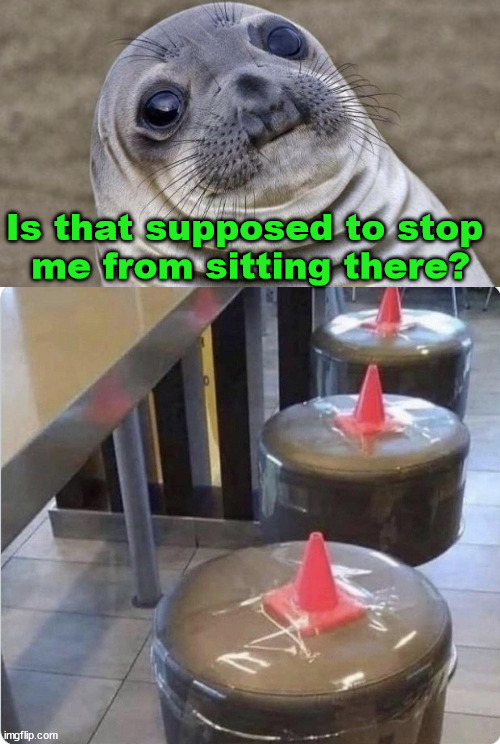 Sit right down | Is that supposed to stop 
me from sitting there? | image tagged in memes,awkward moment sealion | made w/ Imgflip meme maker