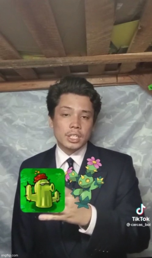 Pokémon in PvZ some how | made w/ Imgflip meme maker