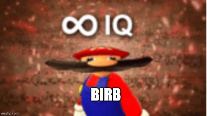 Infinite IQ | BIRB | image tagged in infinite iq | made w/ Imgflip meme maker
