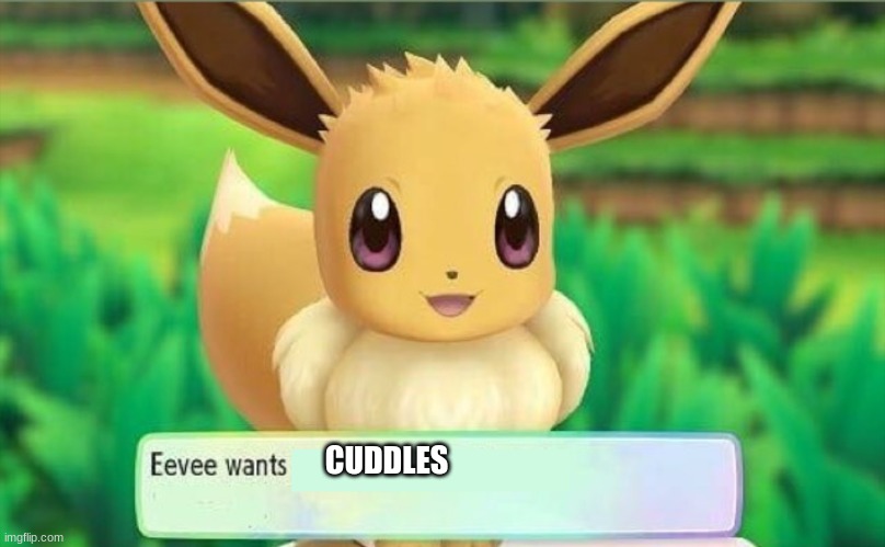 eevee | CUDDLES | image tagged in eevee,pokemon | made w/ Imgflip meme maker